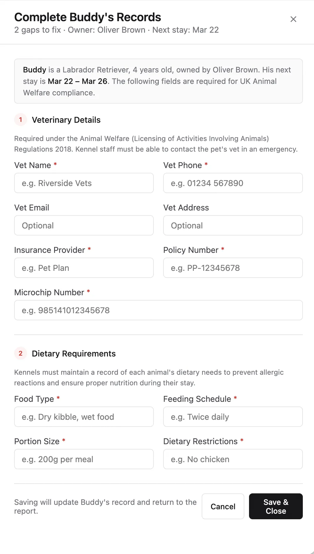 Fix flow panel showing only missing fields for a pet — vet details and dietary requirements