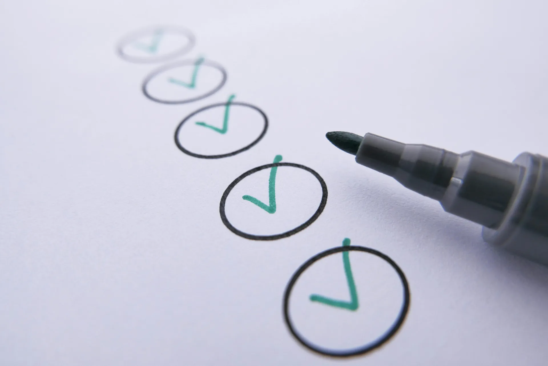 The Irish Kennel Licensing Checklist (2026)