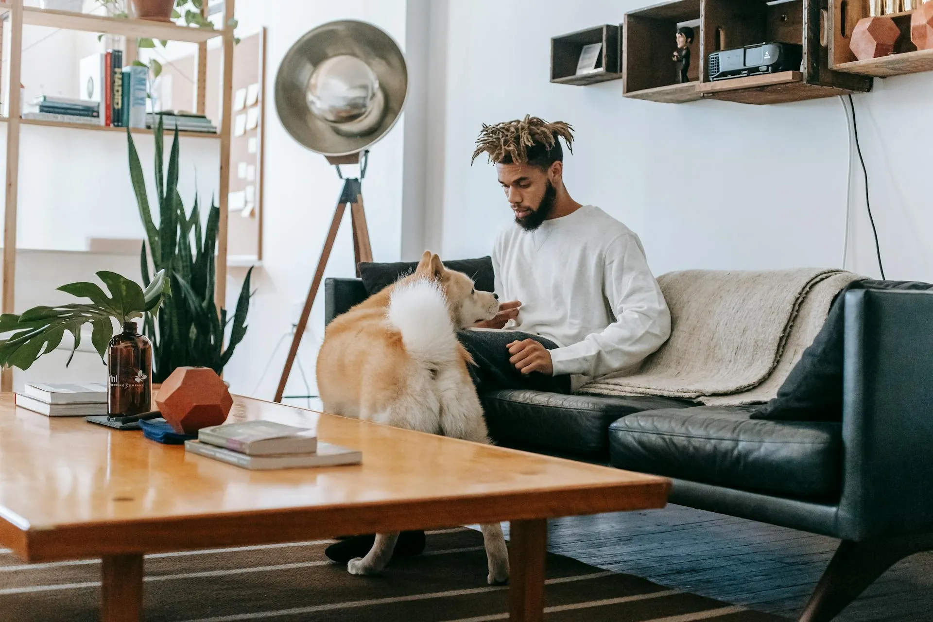 Person working on laptop with dog nearby