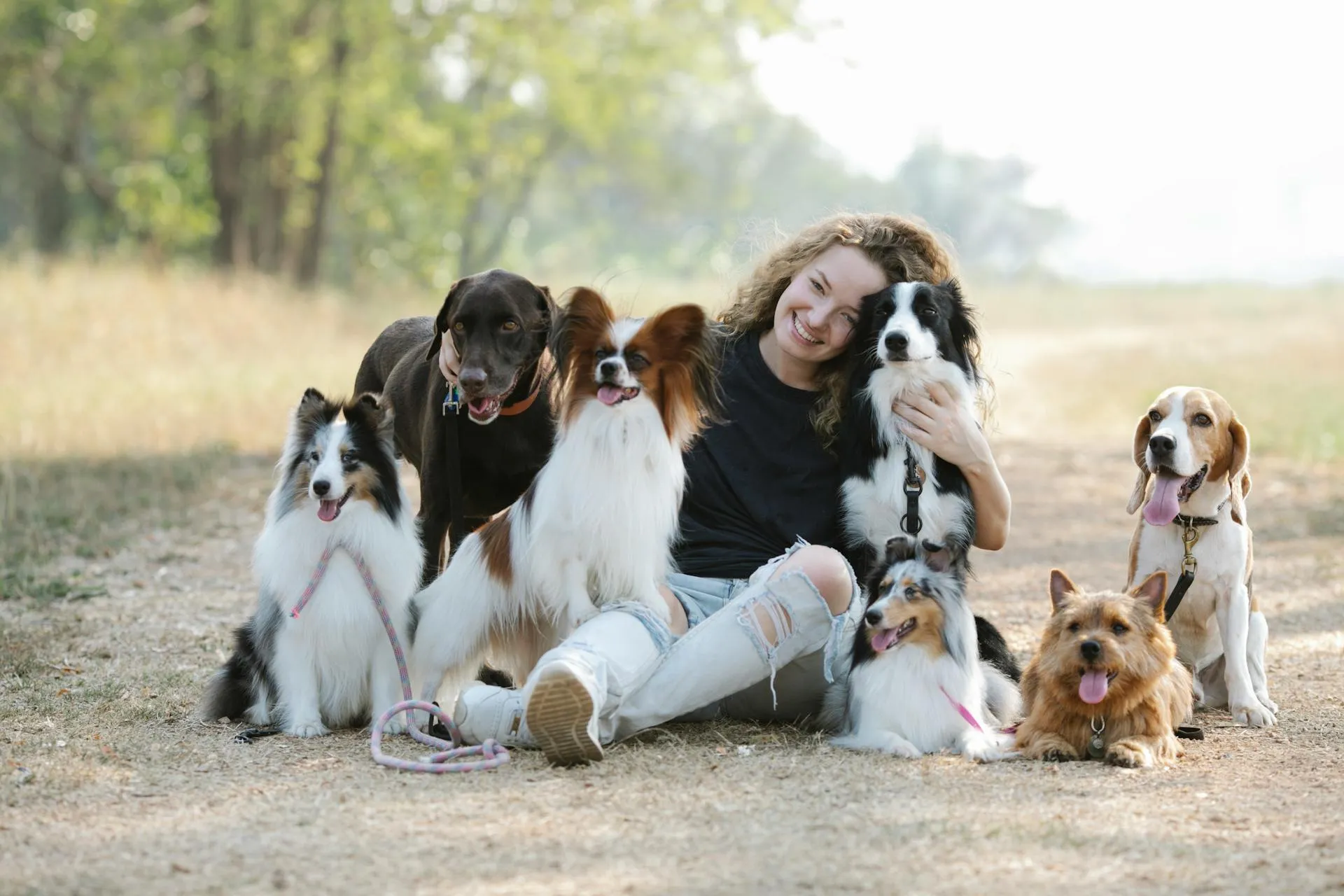 Woman sitting with multiple dog breeds — professional pet care